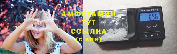 ГАЛЛЮЦИНОГЕННЫЕ ГРИБЫ Баксан