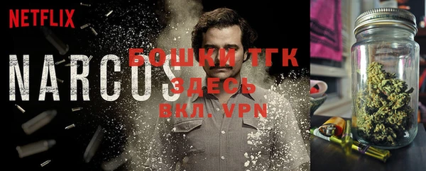 ГАЛЛЮЦИНОГЕННЫЕ ГРИБЫ Баксан