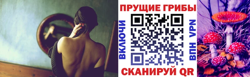 MEGA   Озёры  Галлюциногенные грибы MAGIC MUSHROOMS 